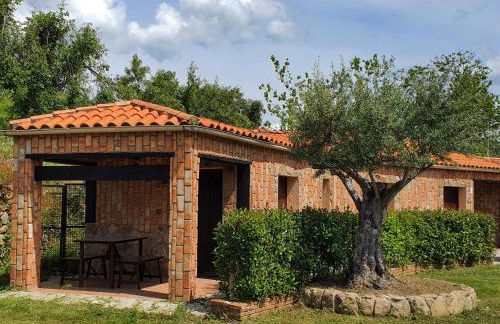 Complejo Turístico Las Cañadas Casas de Campo- Actividades Gratuitas Todos los Fines de Semana - Foto 20