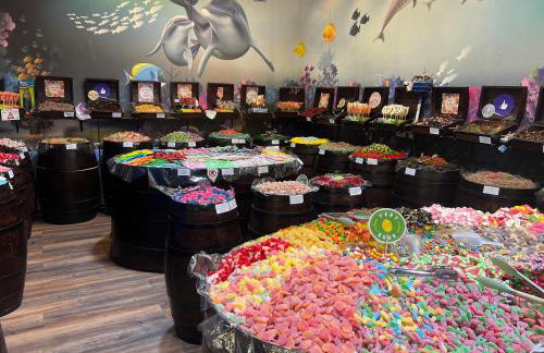 Appartement Vila Fajen - Foto 50