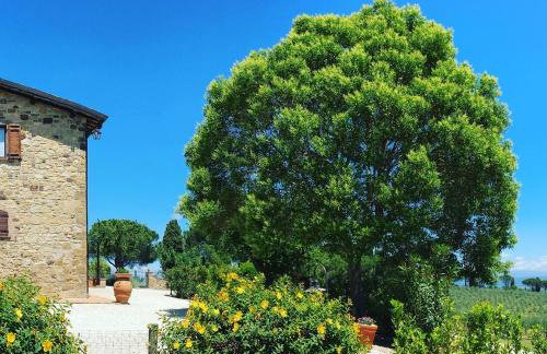 La Luna di Mezzanotte - Foto 18