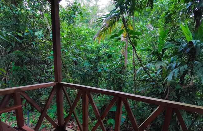 Citronela Lodge Corcovado - Foto 13