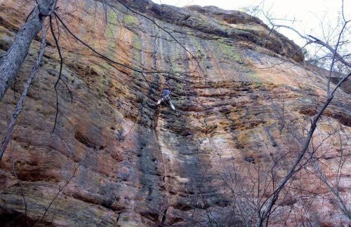 Alice Rocks - Pet Friendly, Firepit, WiFi - Foto 52