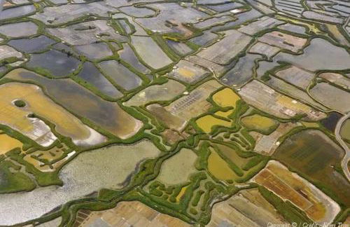 Maison accueillante à Guérande, 54 m² avec jardin - Foto 10