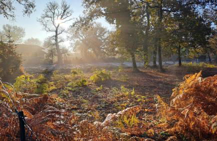 La gemmeuse Meublé de tourisme 3 étoiles - Foto 10