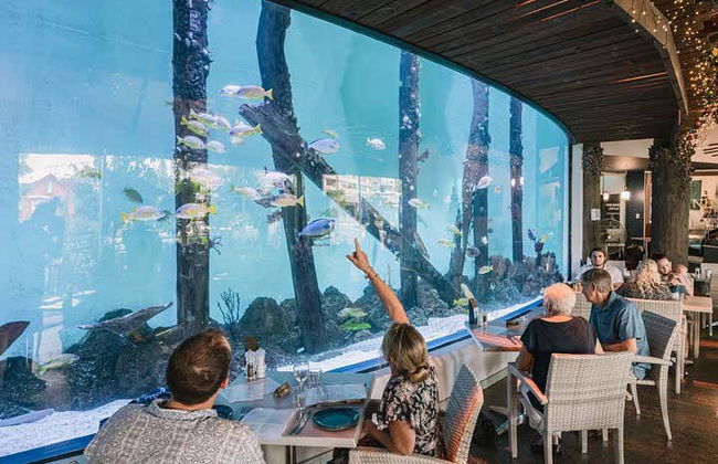 Entrada al Acuario de Cairns - Foto 10