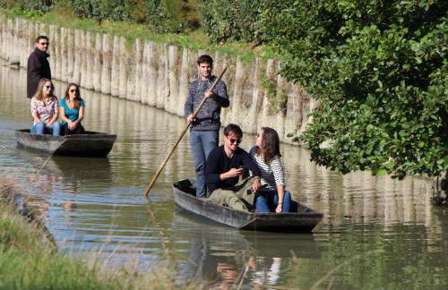 Charmant pavillon 3*** à 5 min des plages, animaux admis - FR-1-323-368 - Foto 8