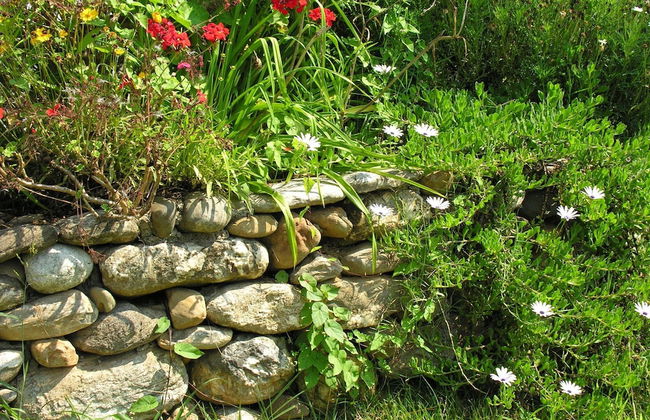 Holiday Home Moriani-plage With Pool - Foto 23