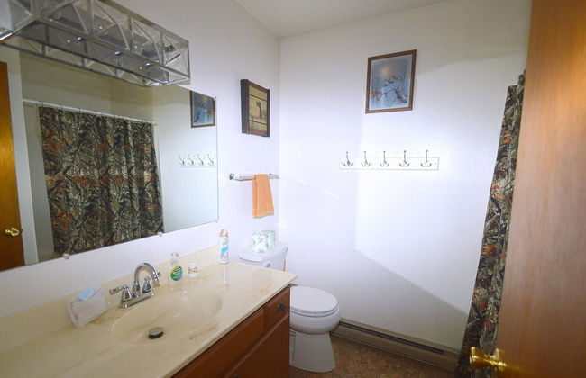 Chesnutt Cabin on the Cacapon River - Foto 18