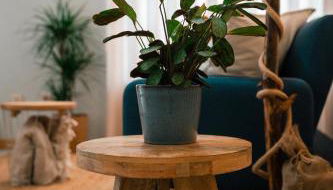 Maresia - Esmoriz Beach - Foto 5