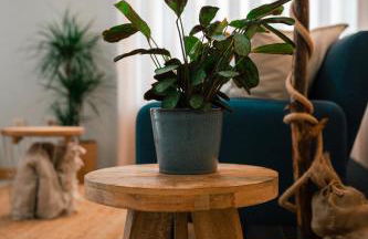 Maresia - Esmoriz Beach - Foto 5