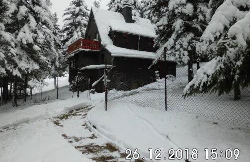 Waldhaus, Ski- und Wanderhütte - Foto 1