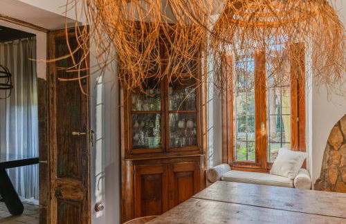 Más Figueres - Foto 9