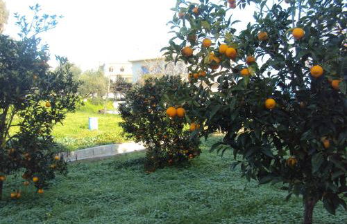 Villa Nostos - Foto 7