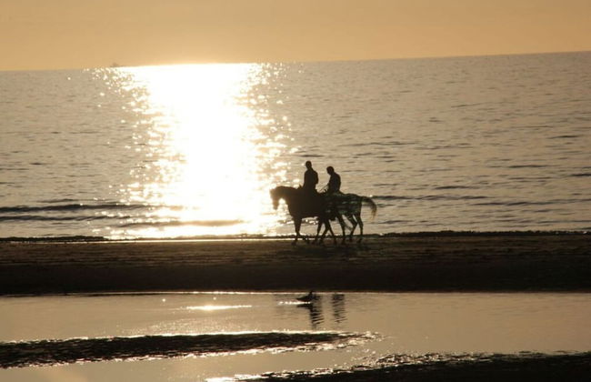 Schmitz Comfortable Holiday Residence - Foto 14