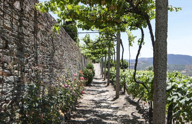 Casa de Casal de Loivos - Photo 50