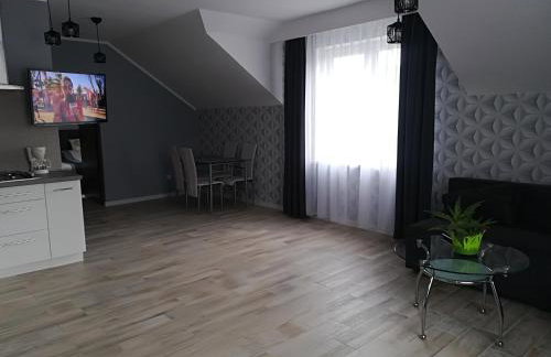 Apart-noclegi - Foto 20