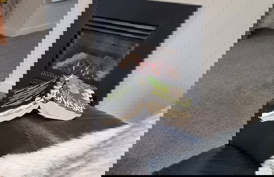 Burn Cottage Retreat - Foto 13