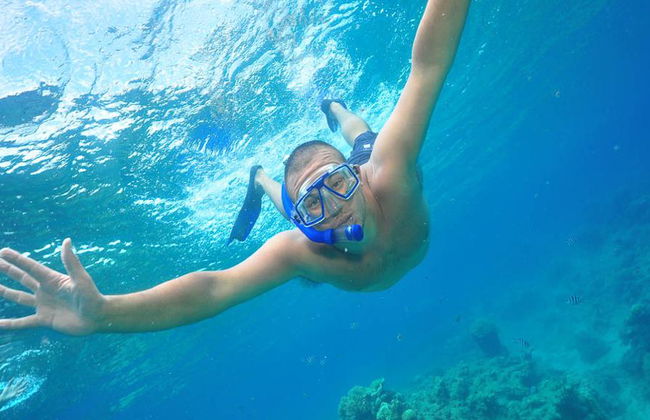 Silverswift Outer Barrier Reef Cruise - Photo 4