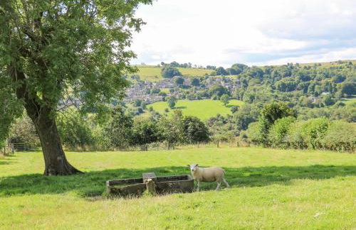 Brightside - Foto 29