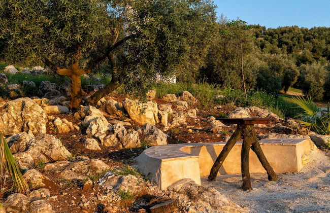 La Pedriza - Foto 23