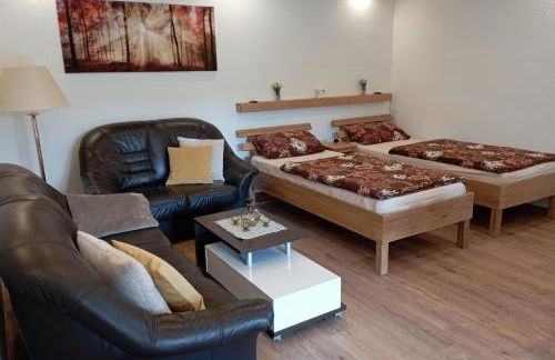 Gepetto Ferienhaus Wissenbach - Foto 13