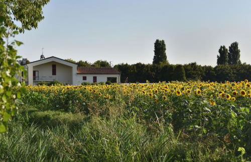 Domus Natura - Photo 68