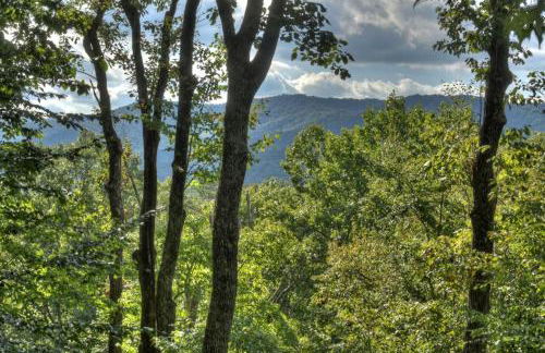 Bearfoot Ridge Wood-burning fireplace cozy hot tub serene views - Foto 25
