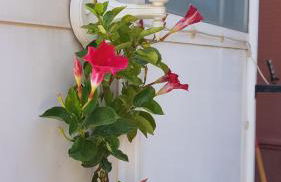 Estudio Maignon - Foto 27