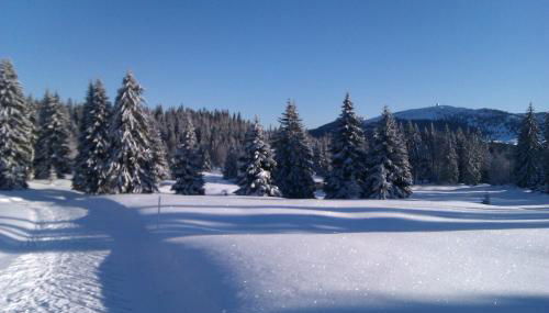 Chalet Daria - Foto 4