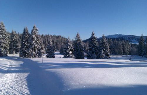 Chalet Daria - Foto 4