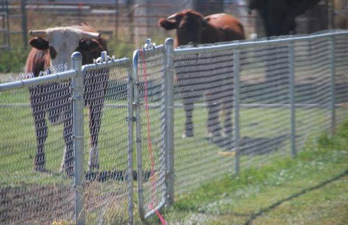 Dora's Country Cottage - Foto 15