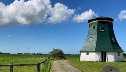 Windmühle am Fluss in Altfunnixsiel - Foto 3