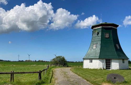 Windmühle am Fluss in Altfunnixsiel - Foto 3