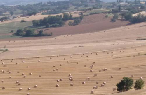 La casa di Cleo - Foto 28