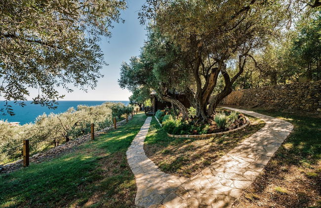 Holiday Park Tree - Foto 33