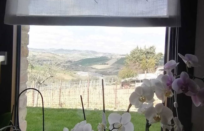 AGRITURISMO SAN NICOLINO - Photo 30