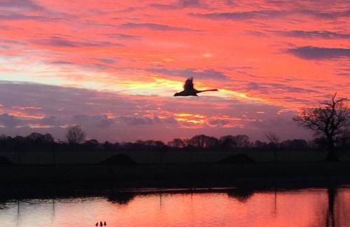 Pheasant Suites - Foto 33