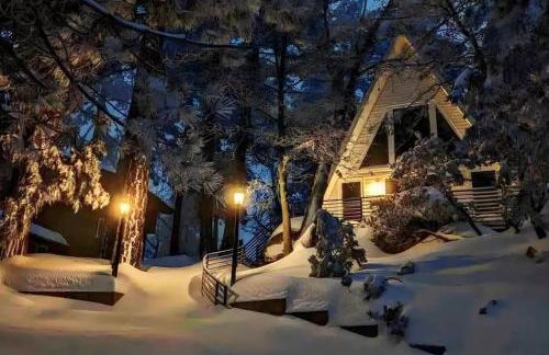 The Scandia “A-Frame Chalet” Fireplace & Hot tub - Foto 26