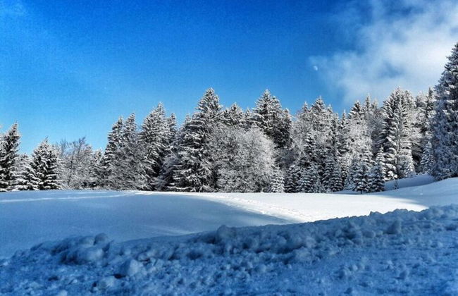 Holiday Apartment Allgauer Alpenblick - Foto 14