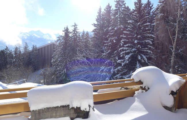 Terrasse Des Alpes 815 - Foto 30