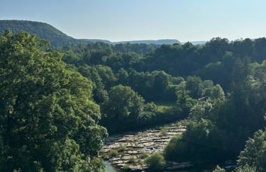 Appartement Le nid sur l'Ain - Foto 12