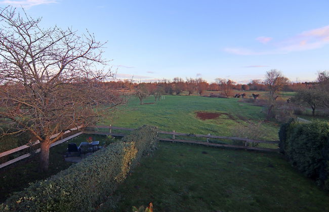 Cozy Apartment in Boltenhagen near Sea Beach - Photo 35