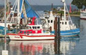 Eckwarderhörne Objekt A 2 - Foto 21