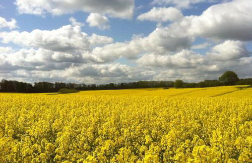 Gut Karlsminde - Foto 66