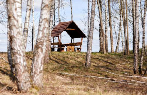 Apartamenty Białe Brzozy - Photo 50