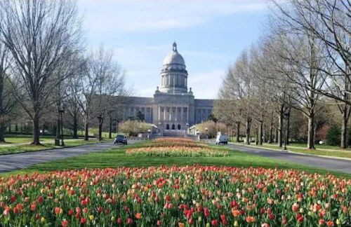 Bourbon Trail Duplex~ HOT TUB~ Walk to Downtown - Foto 48