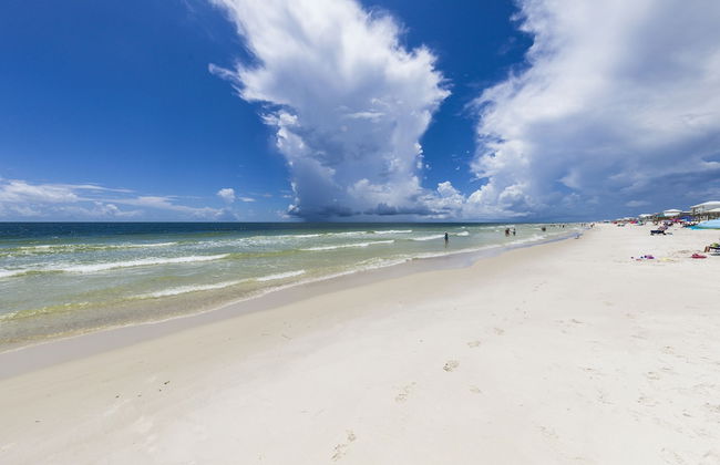 Salt and Light Surf & Racquet 204B - Foto 31