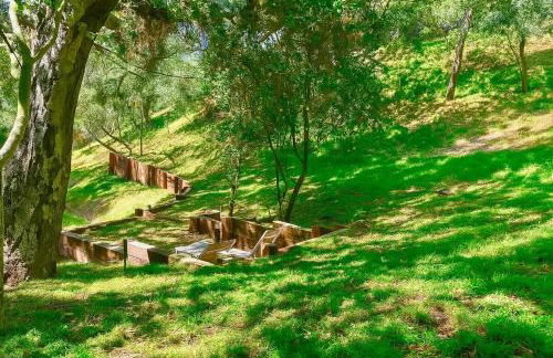 Hollywood Hills Spa Retreat Oasis with Tree Top Views, Private Jacuzzi Style Tub, Steam Room, Magical Half Acre Acre Garden and Patio, Free Parking for 2 cars, in LA's most Serene, Central Desirable Area - Foto 11