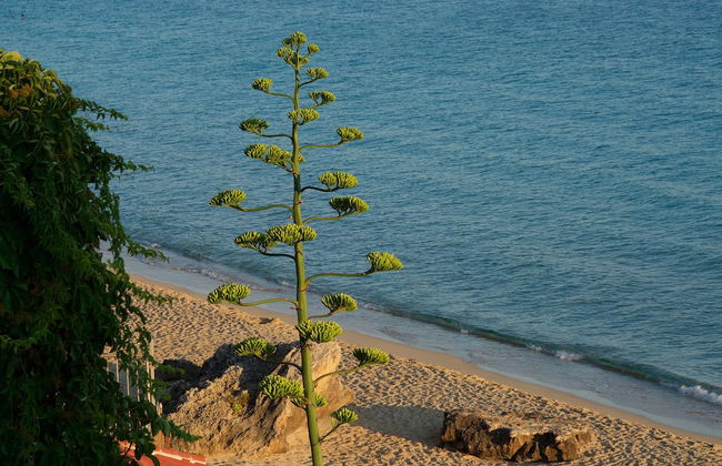 Infinity Beach House - Photo 38