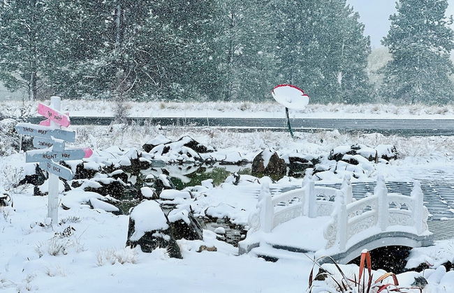 Alice Garden - Foto 13