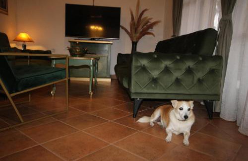 Villa Wolf Castle - vanjski grijani bazen 365 dana i pet friendly - Foto 16